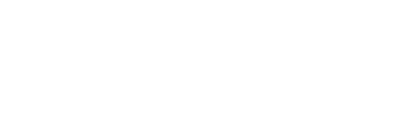 Visa Secure